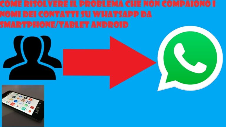 Segreti WhatsApp: Il mistero dei numeri svelato, senza nomi