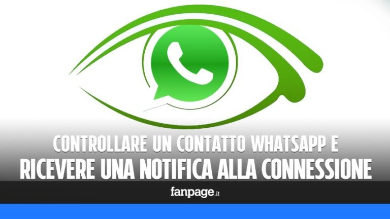 5 soluzioni efficaci se un contatto whatsapp ignora i tuoi messaggi